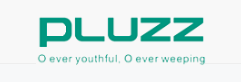 pluzzlogo